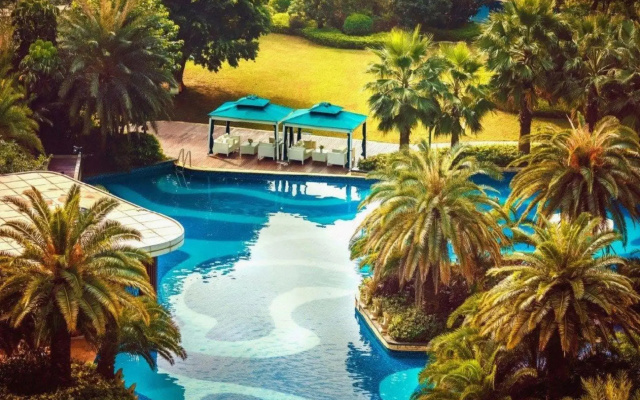 the Royal Bay Z Hotel