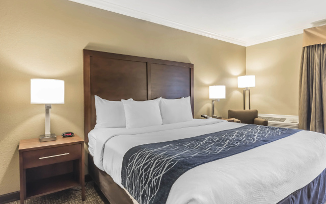 Comfort Inn Sunnyvale - Silicon Valley