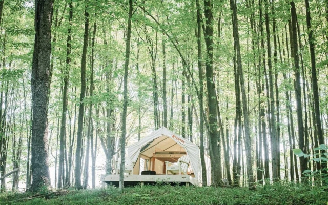 Tentrr â Hollow Tree Camp