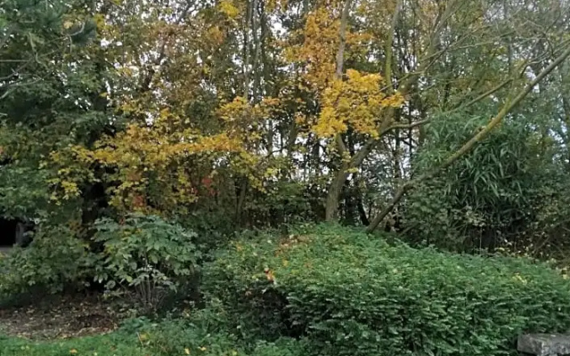 Pantgat Hof