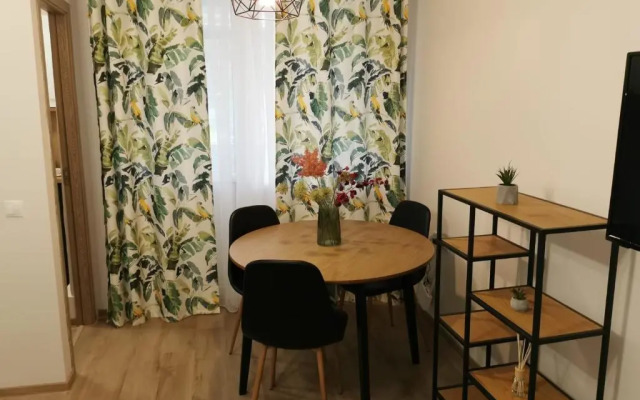 Modern Studio