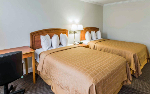 Comfort Suites Tampa Airport North