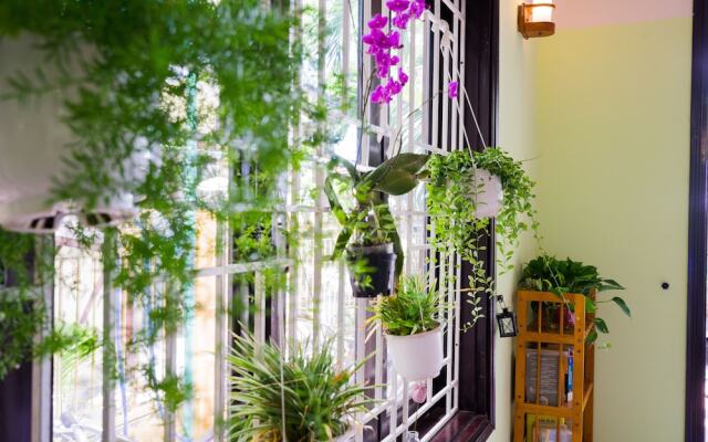 Отель Nature Homestay Вьетнам, Хойан - отзывы, цены и фото номеров - забронировать отель Nature Homestay онлайн вид на фасад