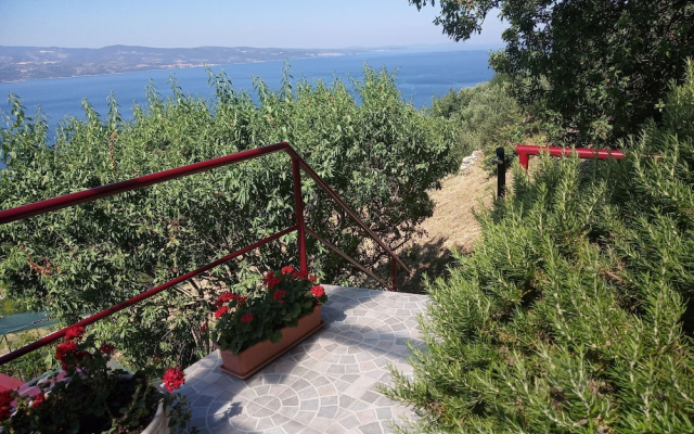 House Panorama