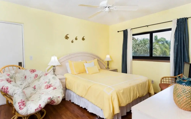 Coquina 3H