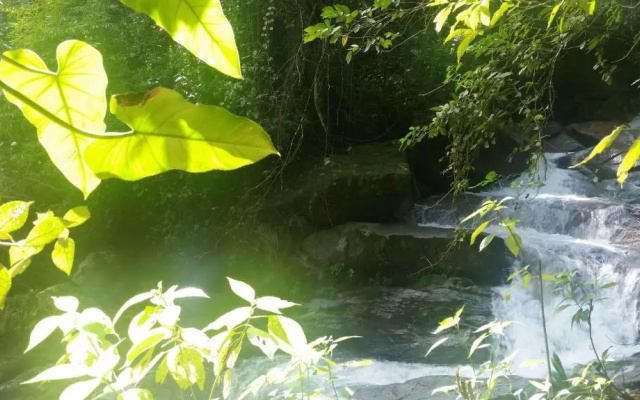 Minca Glamping