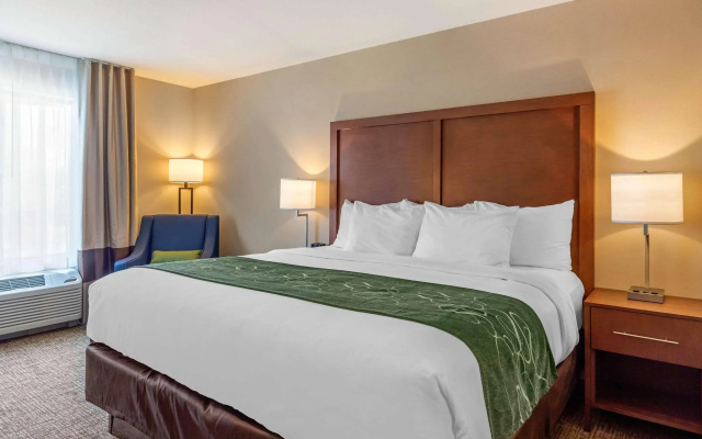 Comfort Inn & Suites Schenectady - Scotia