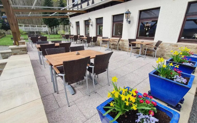 Hotel Waldquelle - Baumhaushotel Aerzen