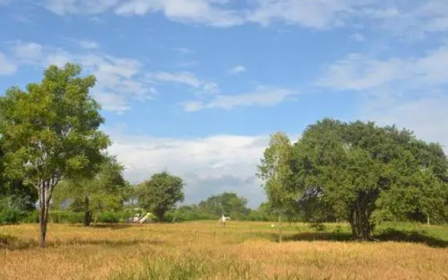JD's Eco Bungalow