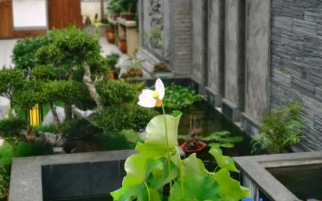 Wuyishan Xiyu Yueting Resort