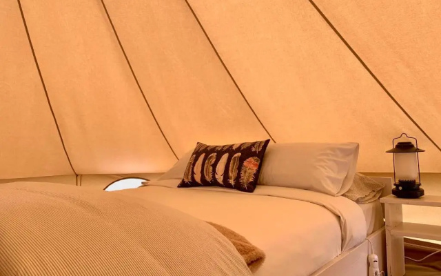 Pine Country Caravan Park