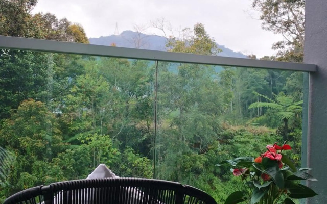 My Cool Home x The Quintet @ Cameron Highlands