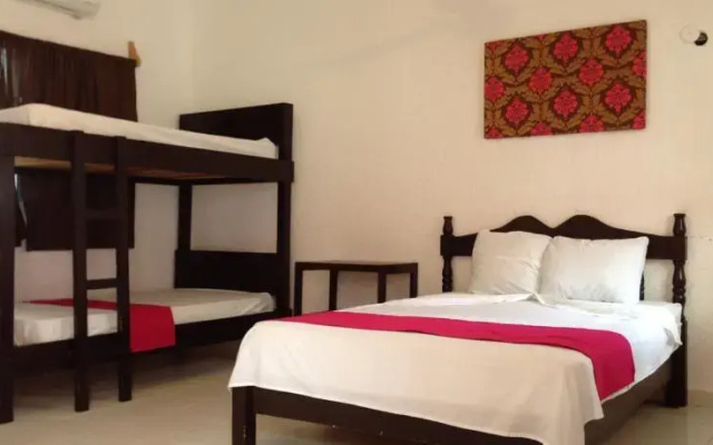 Casa Rosa Mex