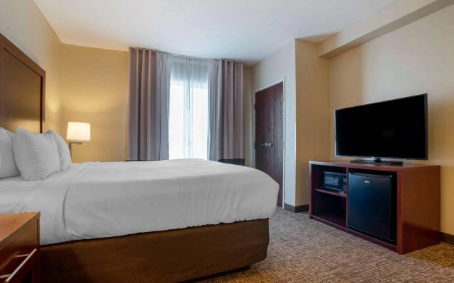 Comfort Suites Foley