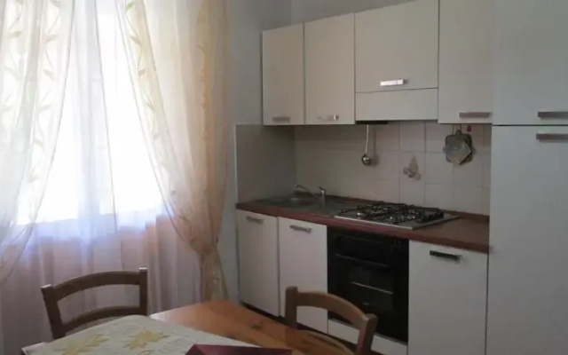 B&B Alvi