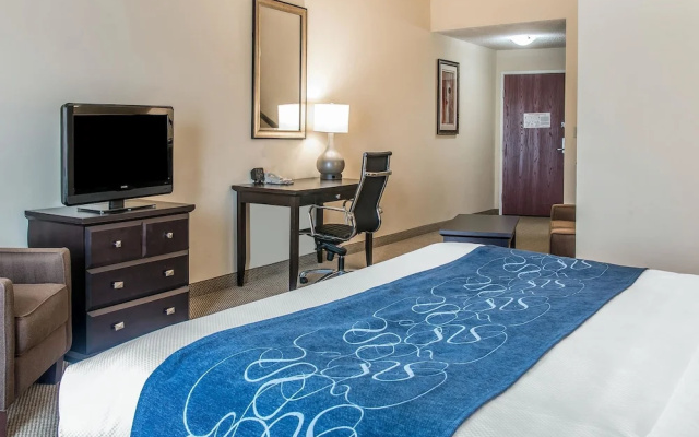 Comfort Suites South Bend