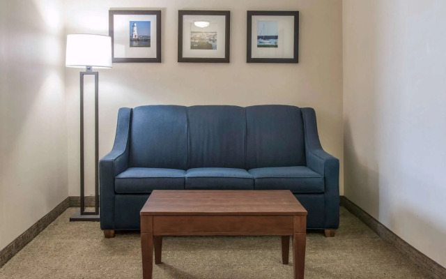 Comfort Suites Wixom - Novi