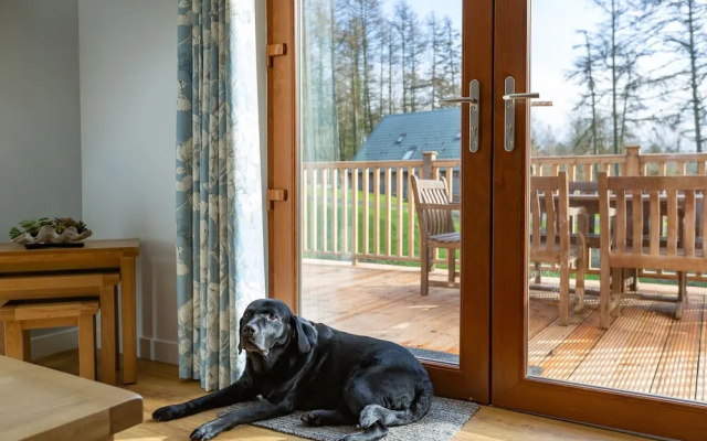 Lord Galloway 38 With Hot Tub, Newton Stewart
