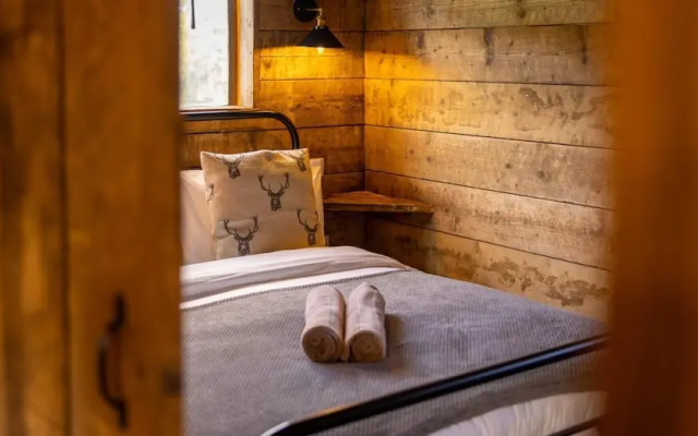 Luxury Safari Lodge Surrounded by Deer!! 'roe'