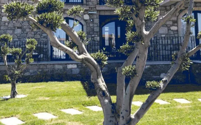 Larinda Küçükköy
