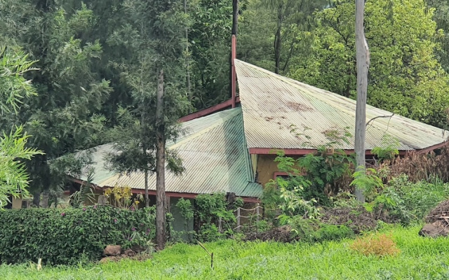 Jungle Green Resort - Kiutine