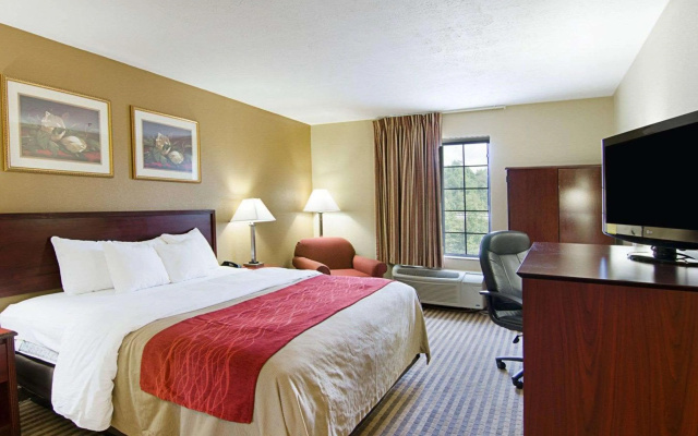 Comfort Inn New River