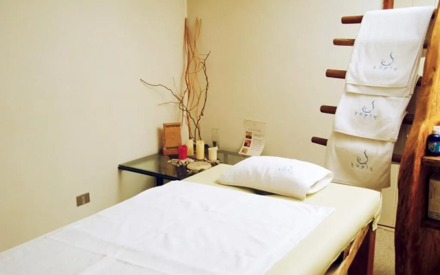 Hotel Newen