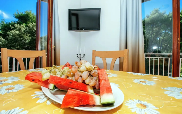 Apartment in Dalmatia With Terrace