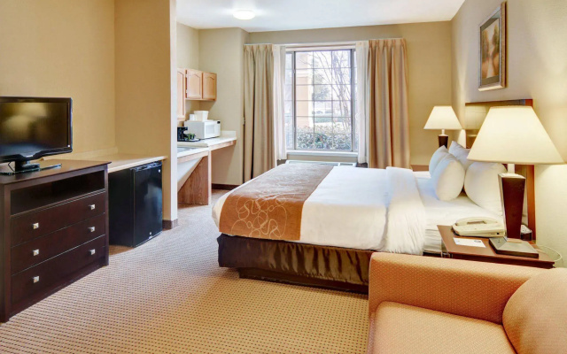 Comfort Suites Roanoke - Fort Worth North