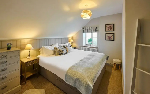 Host Stay Rock Rose