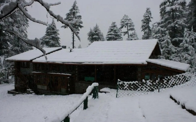 The Sonaugi Homestead