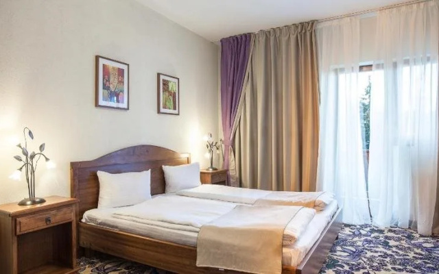 Aducco Hohe Rinne Paltinis Hotel & Spa