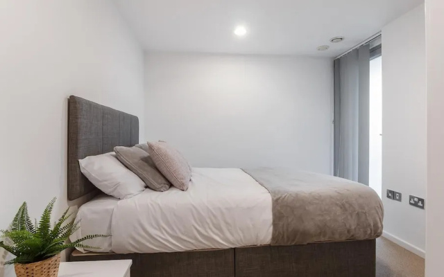 Sunny and Spacious 2BR Apartment
