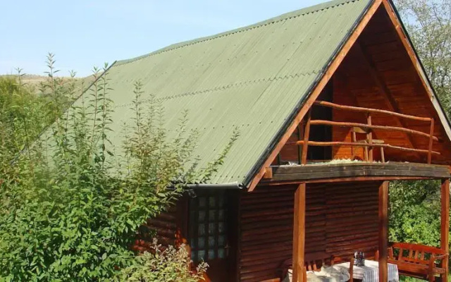Holiday Homes Oko