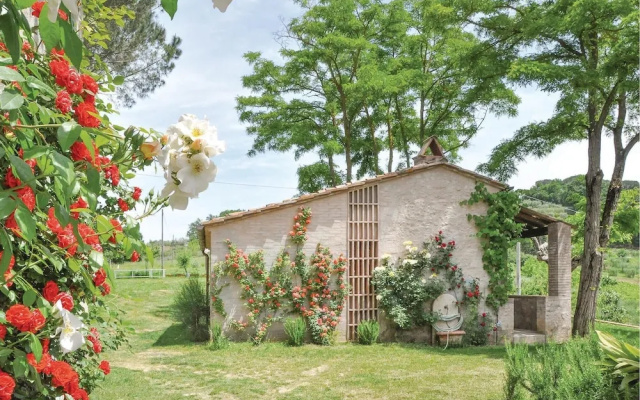 Sanlucchese 2