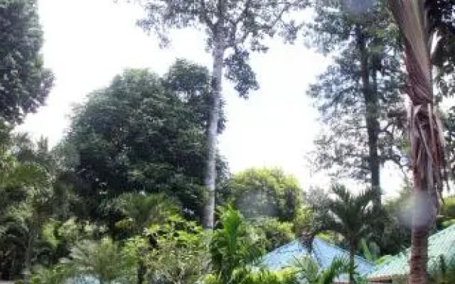 Tropical Paradise Leelawadee Resort