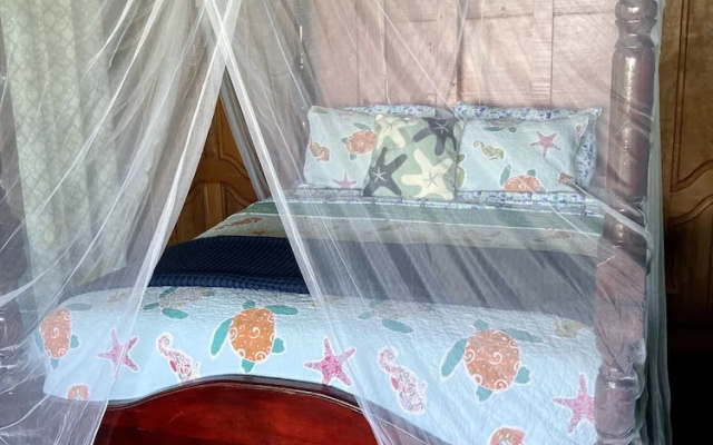 Dolphin Bay Hideaway
