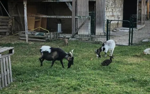 La Petite Ferme