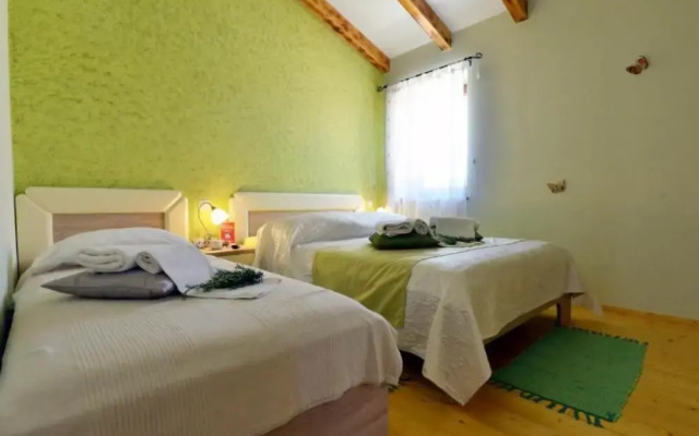Authentic Istrian Rooms for Unforgettable Stays