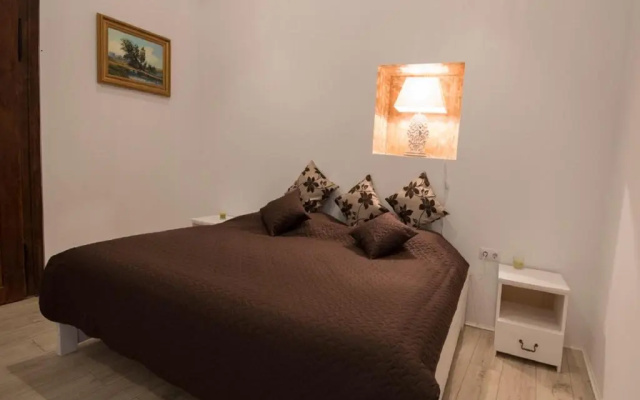 Luxury Central apartment in Sibiu