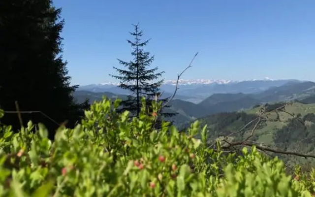Вилла Перлына