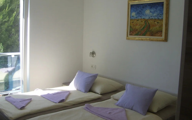 Apartments Villa Erik