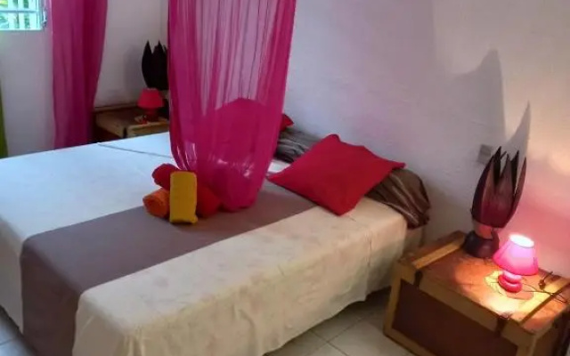 Mapi des Iles - chambre chez l'habitant