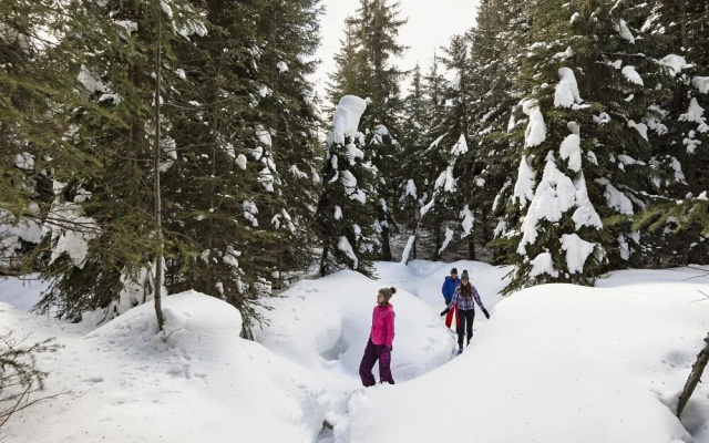 Snow Creek Village #48 By Bear Country