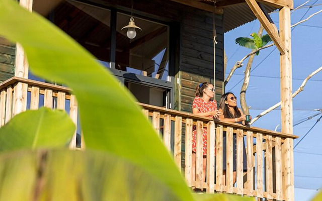 Les Lodges - Parrot World
