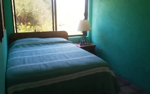 Casa Pajaros