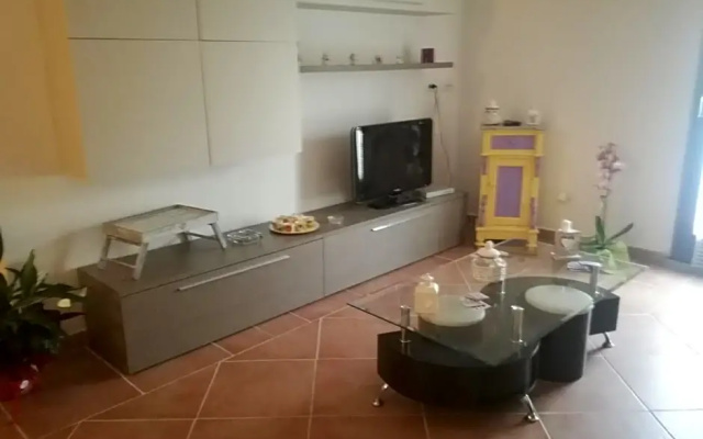 Le rondini