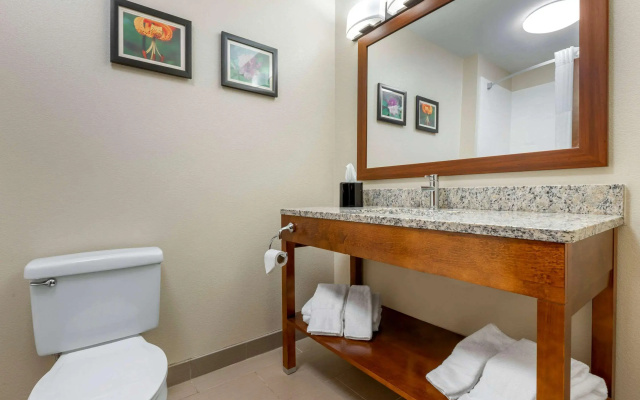 Comfort Inn & Suites Lenoir Hwy 321 Northern Foothills
