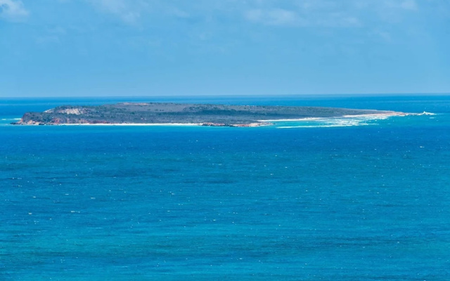Tintamarre