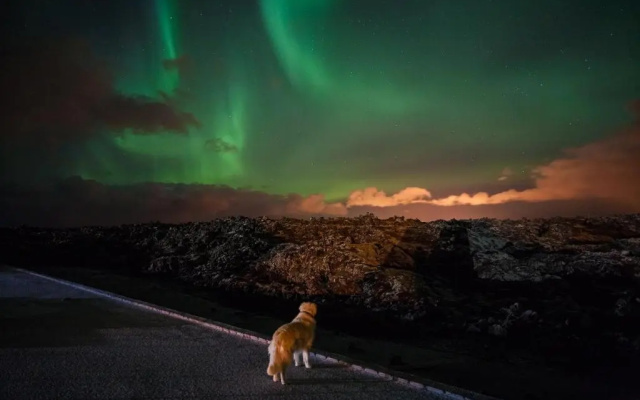Northern Light Inn